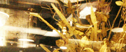 club Star�E�X���摜1